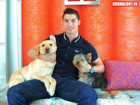 Los perros de Cristiano Ronaldo