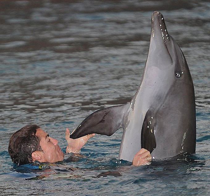 Cristiano Ronaldo entre delfines